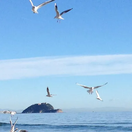 Bilocale Luminoso In Centro A Due Passi Dal Mare Apartament